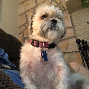 Meet your Posher, Tracy